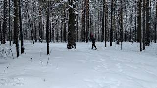 Прогулка по зимнему лесу