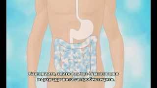 Probiotic Пробиотик