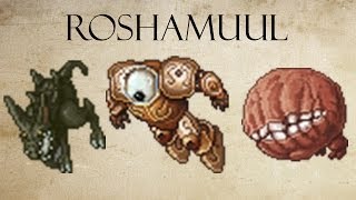 Tibia - Free Hunt : Roshamuul