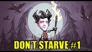 Dont starve #1 - Начало
