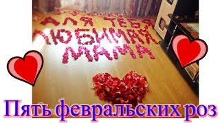 Пять февральских роз