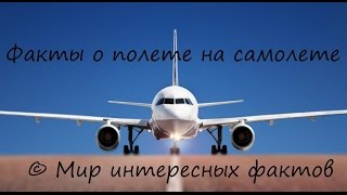 15 пугающих фактов о полете на самолетах | Мир интересных фактов