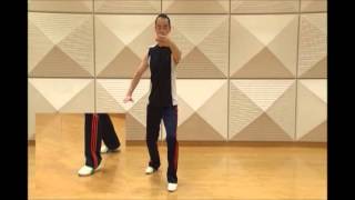 【鏡式】③簡化24式太極拳（左右反転）1~3式詳細解説