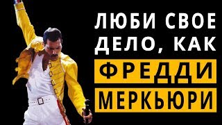 Люби свое дело, как Фредди Меркьюри и добьешься успеха!