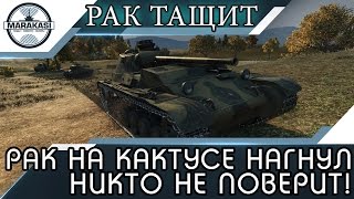РАК НА КАКТУСЕ КРУТО НАГНУЛ, В ЭТО НИКТО НЕ ПОВЕРИТ! World of Tanks