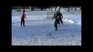 Harlem Shake (Harlem Skate Edition)