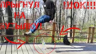 ШОК! ПРЫГНУЛ НА БУТЫЛКУ! СМОТРЕТЬ ВСЕМ!
