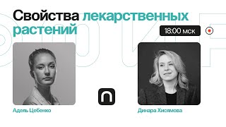 Ромашка успокаивает, а лимонник тонизирует? Как работают лекарственные растения / Динара Хисямова