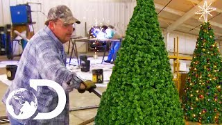 ARTIFICIAL CHRISTMAS TREES | How It's Made
