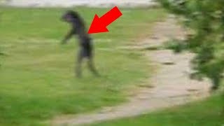 5 Unexplained Beings Caught On Camera & Spotted In Real Life!