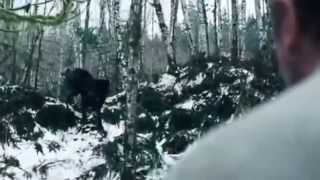 Амулет зуб волка,Волки