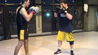 Learn UFC TJ Dillashaw Switch Stance MMA Neo Striking Punch & Henderson KO Combinations!