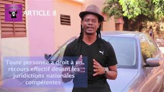 Article 8 de la Déclaration universelle des droits de l’homme