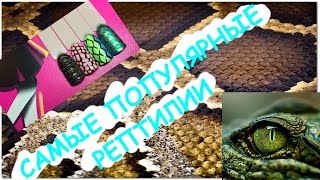 Рептилия маникюр. Рисуем 4 варианта кожи рептилии на ногтях.