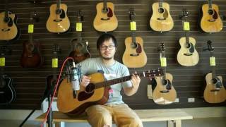 峰樂器 Sigma Guitar DM-18