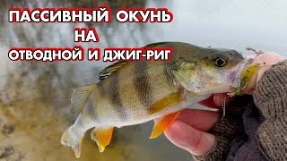 Ловля пассивного окуня зимой на джиг-риг и отводной. Попытка закрыть рыболовный сезон N2