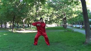 鹤嘴03回头啄食Crane looks back/ grue regarde en arrière / Кран оглядывается назад  / shaolin kungfu
