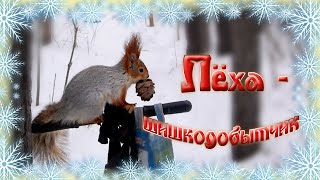 Беличьи аппетиты и забавы в снегопад. Парк "Зелёный Остров", 04.01.2019