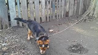 Климат Краснодарского края. Январь. Станица Успенская.