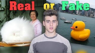 Photos That Look Fake But Are Actually Real!