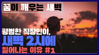 [미라클 모닝/아침형 인간/새벽형 인간/꿈깨새 프로젝트] 평범한 직장인이 새벽 2시에 일어나는 이유 #1
