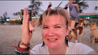 71. БИЗНЕС ПОШЁЛ! ДЕНЕЖНЫЙ КАНАЛ ОТКРЫЛИ! УРА! КАКОЙ ЧУДЕСНЫЙ ДЕНЬ! РАДОСТЬ ПЕРЕПОЛНЯЕТ!