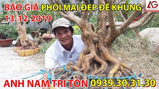 BÁO GIÁ PHÔI MAI ĐẸP ĐẾ KHỦNG 13-12-2019 ? ANH NAM TRI TÔN 0939303130 ? | AN GIANG NGÀY NAY