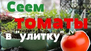 Сеем томаты в "улитку" . Рассада томатов. (22.02.2016).