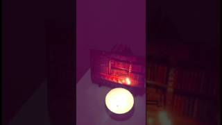 قصة حب نزار قباني وبلقيس الراوي