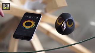 5 Best Home Security Cameras of 2018