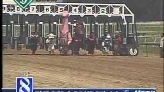 The Mascot Race at Colonial Downs from Sunday, June 12 Opening Weekend