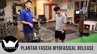 Plantar Fascia Myofascial Release | ft. Andrew Takata | Wealth of Fitness