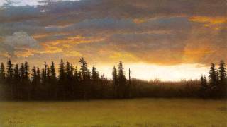 C.P.E. Bach - Harpsichord Concerto in C minor, H. 448 / Wq 37 (Ludger Rémy & Les Amis de Philippe)