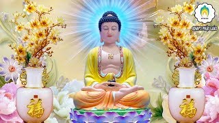 Nghiệp Tiền Kiếp Được Tiêu Trừ - Thân Không Bệnh - Nhờ Tu Tập Đúng Cách  #Mới Nhất