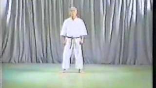 Kata - Pinan Nidan (With Sound)