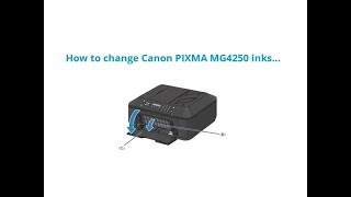How to change Canon PIXMA MG4250 ink cartridges