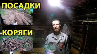 Посадки. Коряги. День в деревне