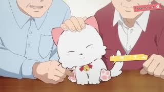 Uchi Tama?! Uchi no Tama Shirimasenka? | 2020 | Trailer PV 2