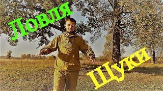 Успешная ловля щуки на спиннинг Ловля трофейной щуки и линя Как ловить щуку на спиннинг Поймать линя