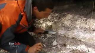 Bear Grylls Delicacy Part 1