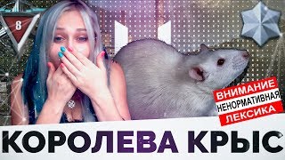 Королева крыс