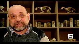 ვისი გორისა და ვისი გენისა ხარ