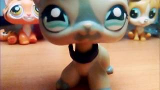Lps:посылка
