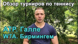 Прогнозы на теннис ATP Галле | WTA Бирмингем