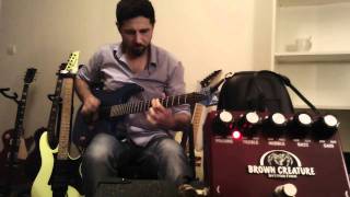 Guitar distortion YERASOV BROWN CREATURE