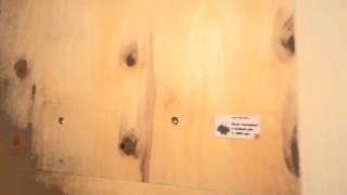 Скалодром Жужа отзывы клиентов