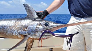 How To: Daytime Deep Drop Swordfishing with Hogy Lures