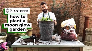 How to plant a moon glow garden