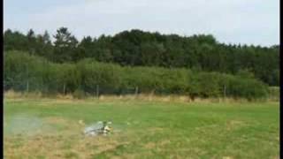 T-Rex 700 Erstflug