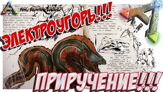 ARK  Survival Evolved - ПРИРУЧЕНИЕ ЭЛЕКТРОФОРУСА! TAMING ELECTROPHORUS!